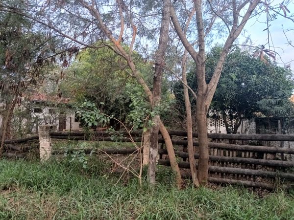 Vista de atras, casa frente a rio paraguay.